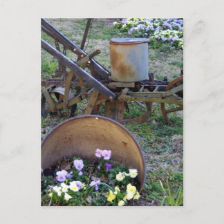 Kasse und Blume Postkarte