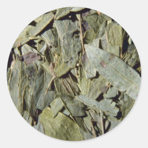 Kassie-Blätter Runder Aufkleber