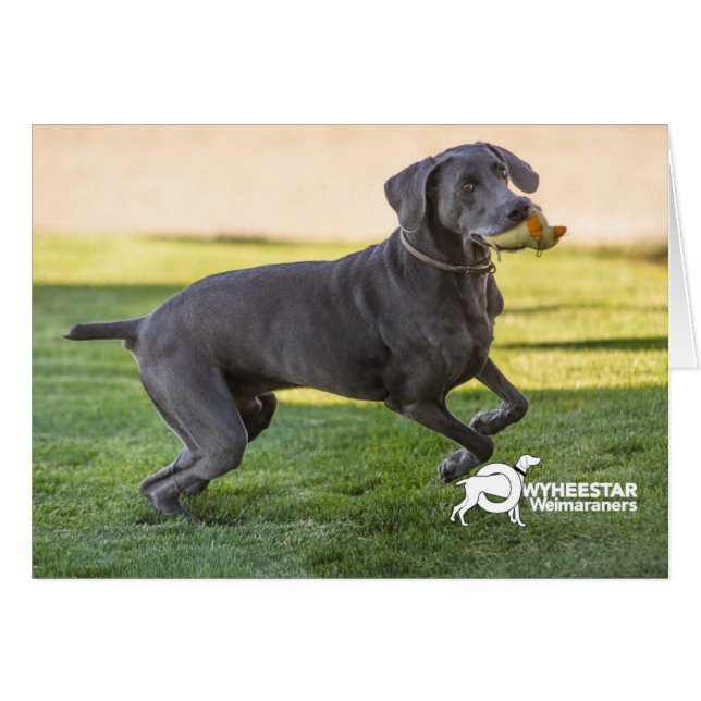 Kassieren Sie Ihre Paare (Vorderseite (Horizontal))