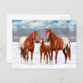 Kastanie Appaloosa Sorrel Rote Pferde im Schnee Postkarte (Vorne/Hinten)