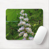 Kastanie-Blume Mousepad (Mit Mouse)
