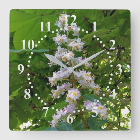 Kastanie-Blume Quadratische Wanduhr (Vorderseite)