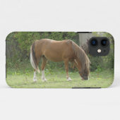 Kastanie Brown Horse Grazing iPhone Case (Rückseite (Horizontal))