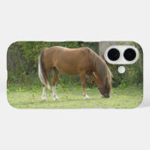 Kastanie Brown Horse Grazing iPhone Case (Rückseite (Horizontal))