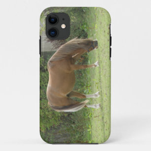 Kastanie Brown Horse Grazing iPhone Case