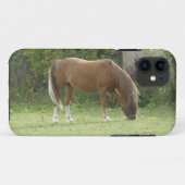 Kastanie Brown Horse Grazing iPhone Case (Rückseite (Horizontal))