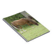 Kastanie Brown Horse Grazing Notebook Notizblock (Rechte Seite)