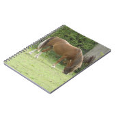 Kastanie Brown Horse Grazing Notebook Notizblock (Linke Seite)