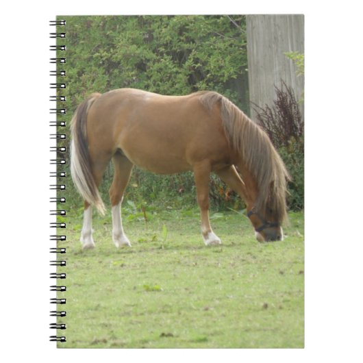 Kastanie Brown Horse Grazing Notebook Notizblock (Vorderseite)