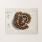 Kastanie (Castanea) Fruchtfarben Puzzle (Horizontal)
