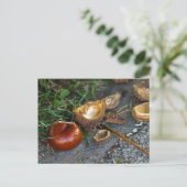 Kastanie (Conker): Herbst ist hier Postkarte (Stehend Vorderseite)