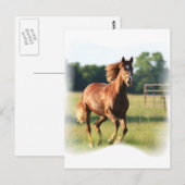 Kastanie Galloping Pferd Postkarte (Vorne/Hinten)