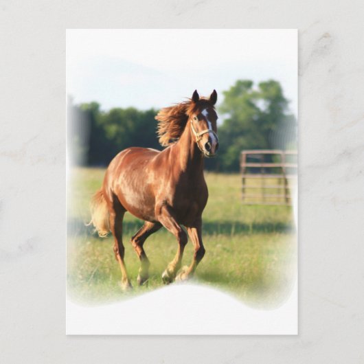 Kastanie Galloping Pferd Postkarte (Vorderseite)