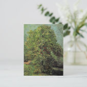 Kastanie in Blossom, Vincent van Gogh Postkarte (Stehend Vorderseite)