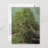 Kastanie in Blossom, Vincent van Gogh Postkarte (Vorne/Hinten)
