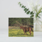 Kastanie in gelben Blumen Postkarte (Stehend Vorderseite)