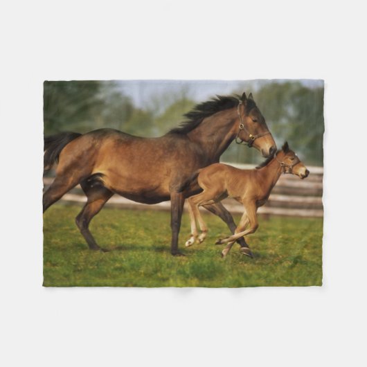 Kastanie-Mare & Foal Fleecedecke (Vorderseite (Horizontal))