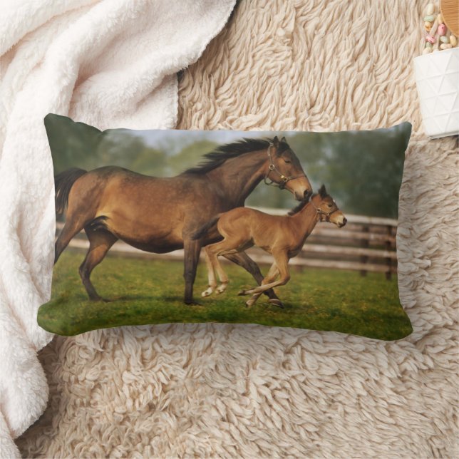 Kastanie-Mare & Foal Lendenkissen (Decke)