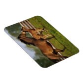 Kastanie-Mare & Foal Magnet (Rechte Seite)