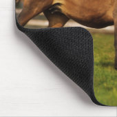 Kastanie-Mare & Foal Mousepad (Ecke)