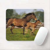 Kastanie-Mare & Foal Mousepad (Mit Mouse)