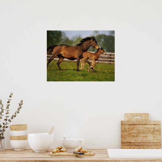 Kastanie-Mare & Foal Poster (Küche)