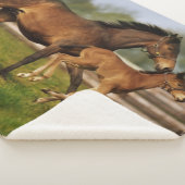 Kastanie-Mare & Foal Sherpadecke (3/4)