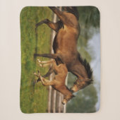 Kastanie-Mare & Foal Sherpadecke (Vorderseite)