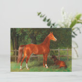 Kastanie mit Foal auf der Wiese | Hans Haag (Stehend Vorderseite)