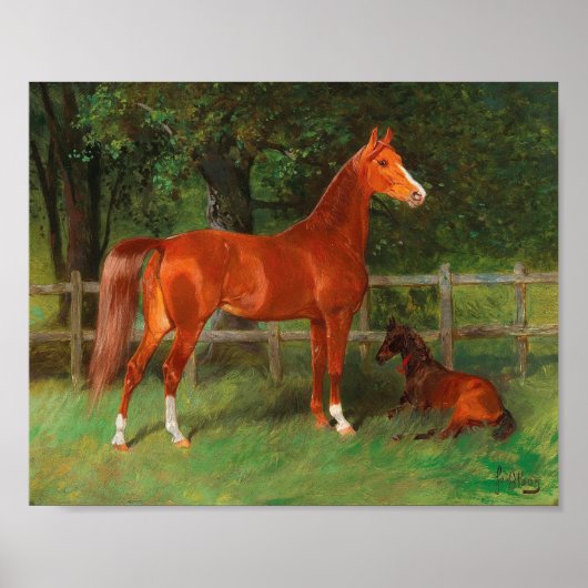 Kastanie mit Foal auf der Wiese | Hans Haag Poster (Vorne)