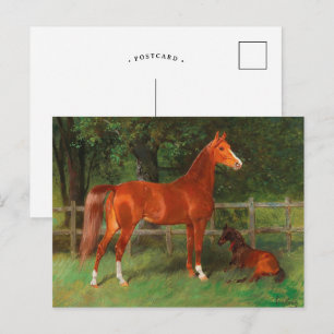 Kastanie mit Fohlen auf der Wiese Hans Haag Postkarte