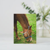 Kastanie nach Bath Postkarte (Stehend Vorderseite)