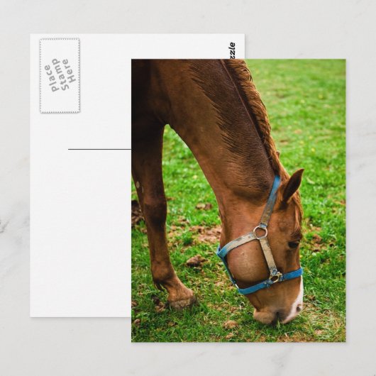 Kastanie nach Bath Postkarte (Vorne/Hinten)