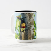 Kastanie-ohrige Aracari große Tasse (Vorderseite Links)