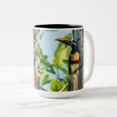 Kastanie-ohrige Aracari große Tasse (VorderseiteRechts)