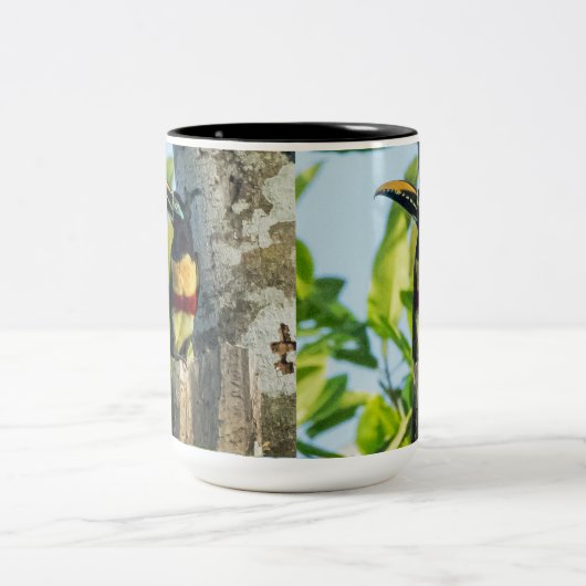 Kastanie-ohrige Aracari große Tasse (Mittel)