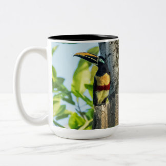 Kastanie-ohrige Aracari große Tasse