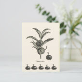 Kastanie Postkarte (Stehend Vorderseite)