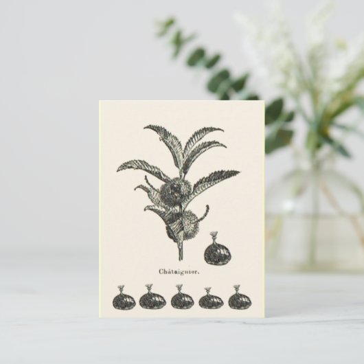 Kastanie Postkarte (Stehend Vorderseite)