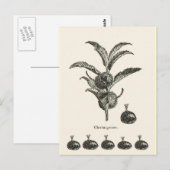 Kastanie Postkarte (Vorne/Hinten)