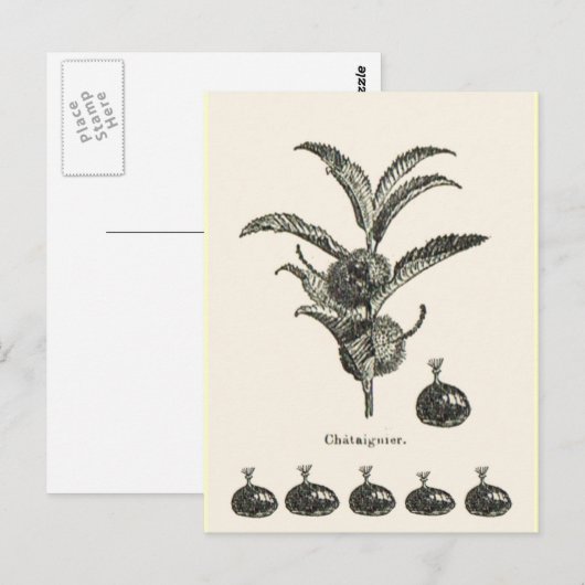 Kastanie Postkarte (Vorne/Hinten)