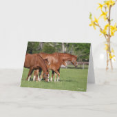 Kastanie Quarter Horse Mares and Foals Karte (Gelbe Blume)