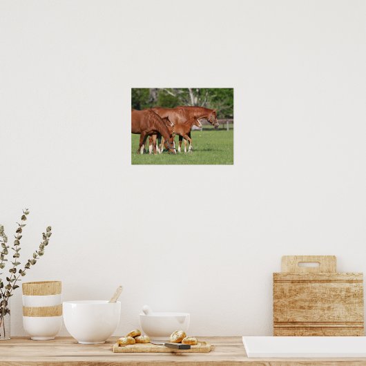 Kastanie Quarter Horse Mares and Foals Poster (Küche)