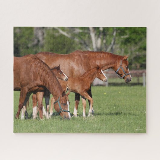 Kastanie Quarter Horse Mares and Foals Puzzle (Horizontal)