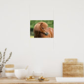 Kastanie Shetland Pony Stallion Headshot Poster (Küche)