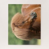 Kastanie Shetland Pony Stallion Headshot Puzzle (Vertikal)