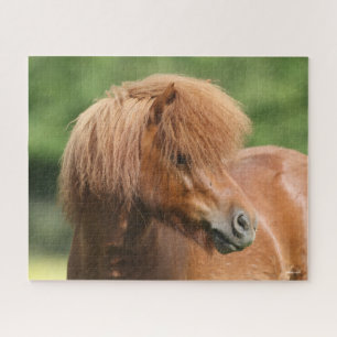 Kastanie Shetland Pony Stallion Headshot Puzzle