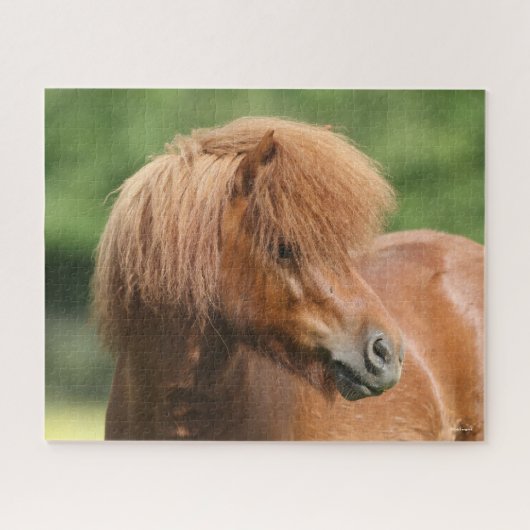 Kastanie Shetland Pony Stallion Headshot Puzzle (Horizontal)