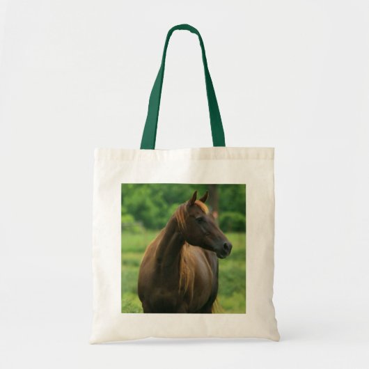 Kastanie-Tote-Tasche Tragetasche (Vorne)