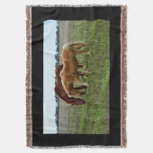 Kastanie und Palomino Foal, Decke (Vorderseite Vertikal)